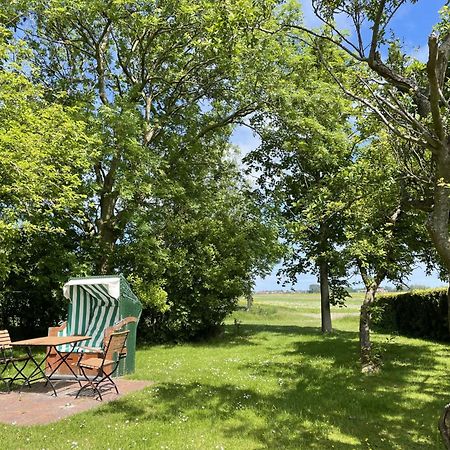 Ferienwohnung Gulfhof Butendiek - Luett Stuuv Neuharlingersiel Exterior foto